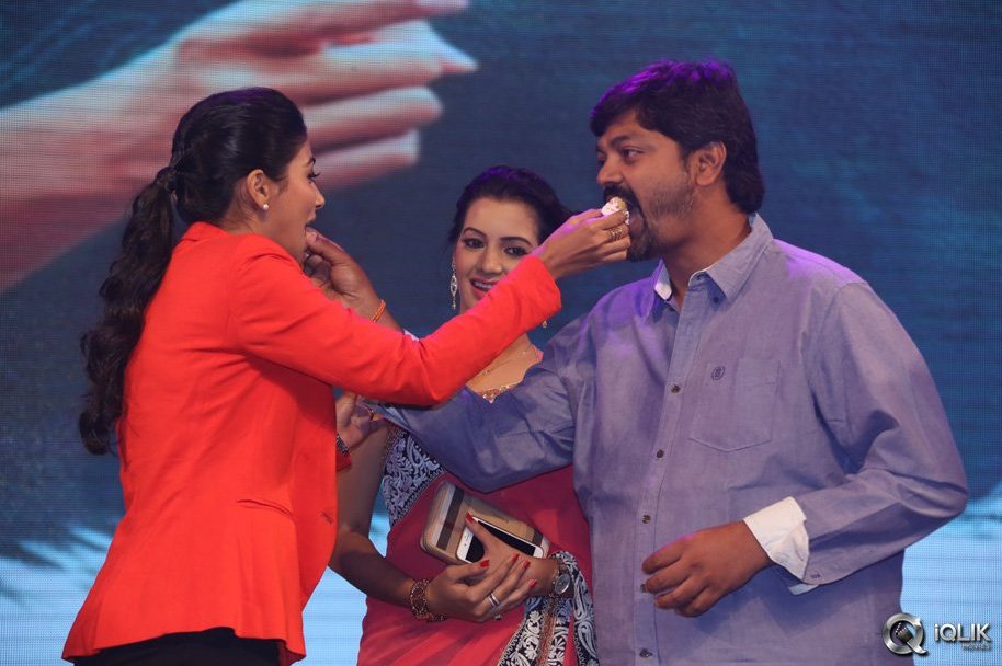 Oka-Laila-Kosam-Movie-Audio-Success-Function